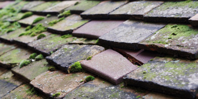 Moston roof repair costs